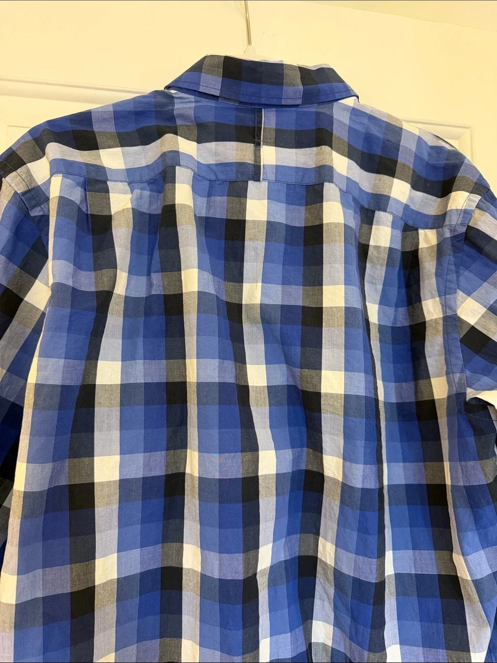 Banana Republic Blue and White Plaid Men's Button-Down Shirt